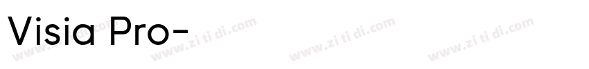 Visia Pro字体转换